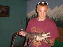 holding-baby-alligator