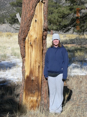 tree-with-bark-scarring