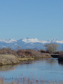 Alamosa-Refuge