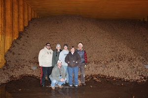 Cellar full of potatoes