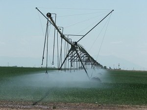 Center-Sprinkler-Pivot